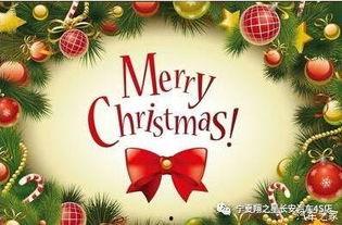 欢迎回家的圣诞节